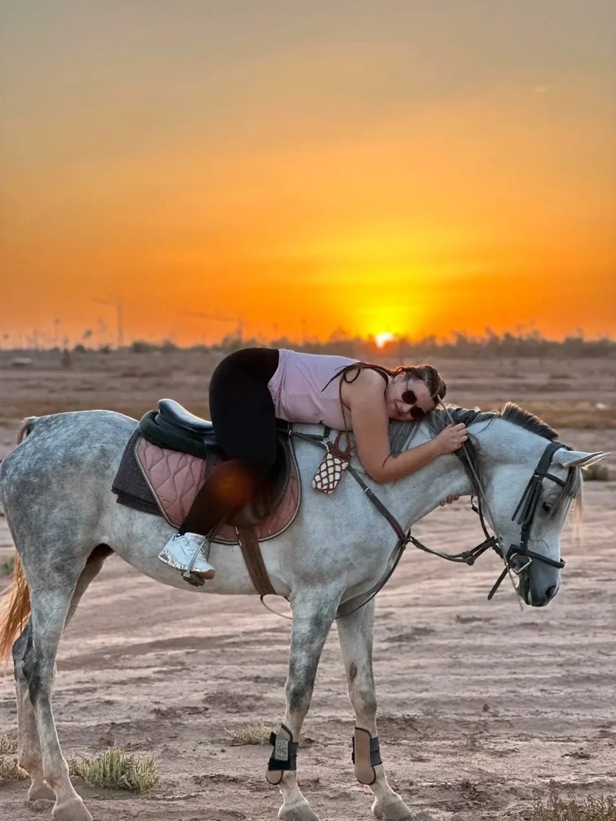 Cheval Sunset